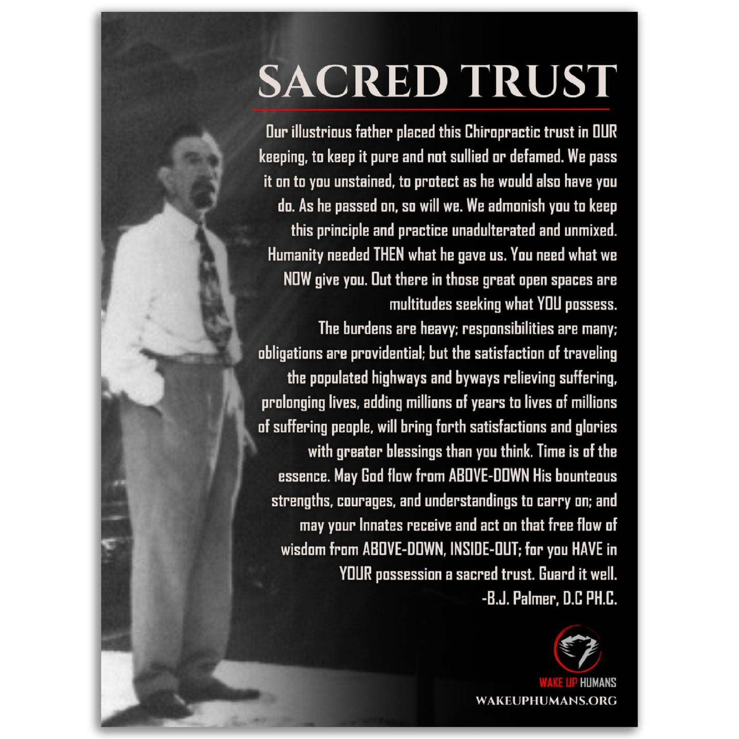 SACRED TRUST - B.J PALMER POSTER