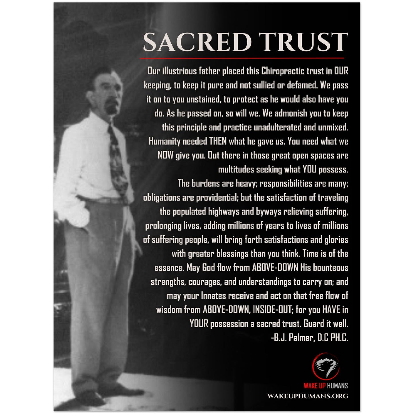 SACRED TRUST - B.J PALMER POSTER